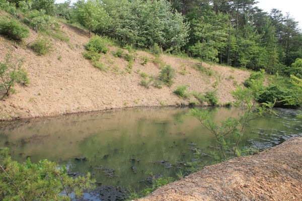Cost of Pond Erosion Repair in Idaho Falls