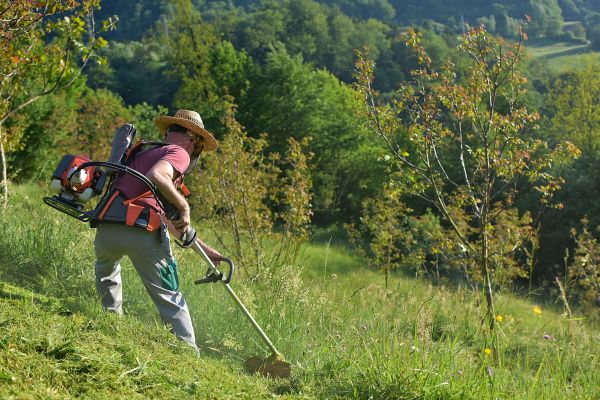 Cost of Slope Trimming in Idaho Falls